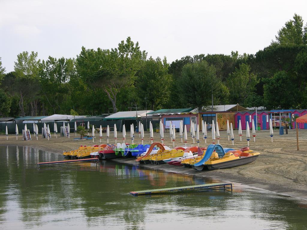 Appartamento Vacanze Magnolia E Glicine 特拉西梅诺湖畔托罗 外观 照片
