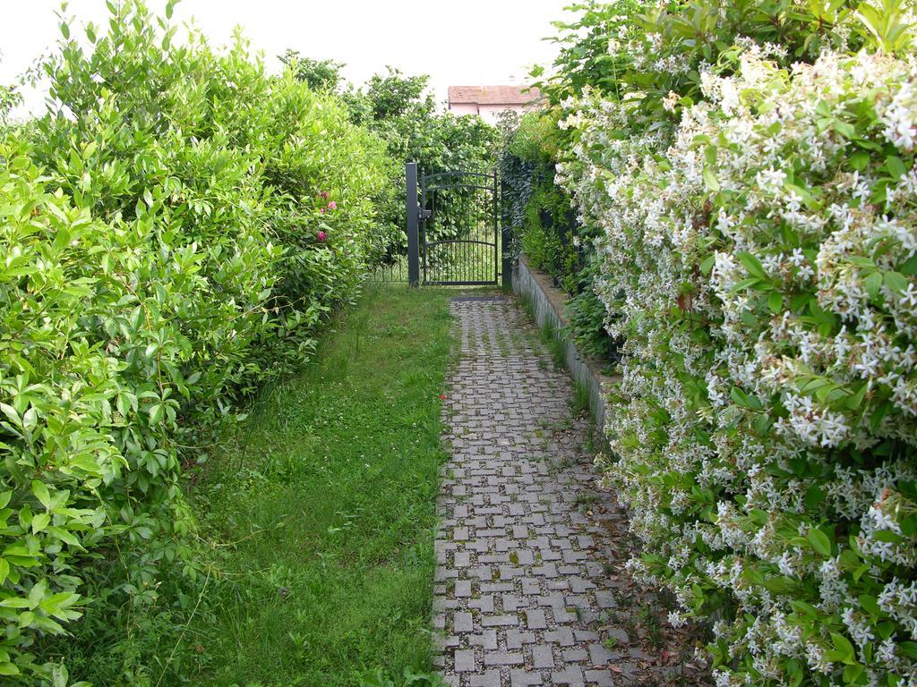 Appartamento Vacanze Magnolia E Glicine 特拉西梅诺湖畔托罗 外观 照片